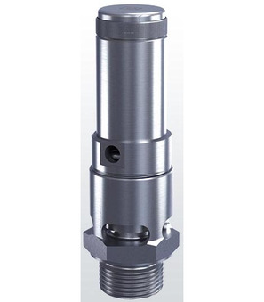 Sicherheitsventil 1"-20-FKM--20...200-0,2