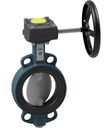 Absperrklappe mit Handgetriebe BUW4-250-DSD-G