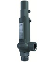 Safety valve 1/2"-6-3/4"-180-Vespel-EPDM