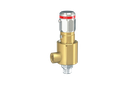 Sicherheitsventil 1/4"-6-210